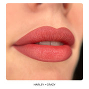 AS Pigments - HARLEY (HARLEY QUINN) 6 ml - mrpmu