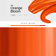 Orange Bloom - Activator 10ml - mrpmu