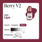 Perma Blend Luxe PMU Ink - Berry v2 15ml - mrpmu
