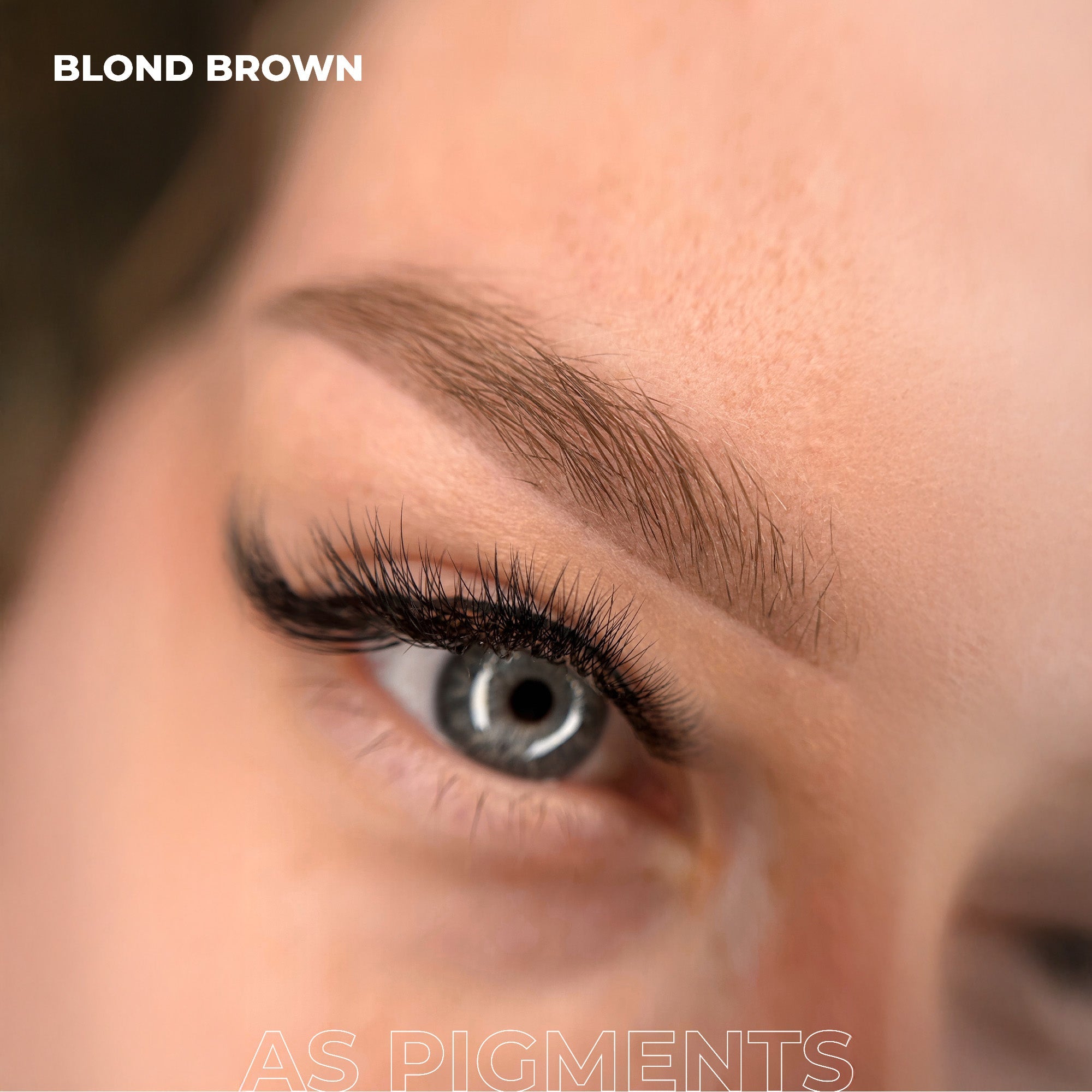 AS Pigments - Pigment pentru sprâncene BLOND BROWN - mrpmu