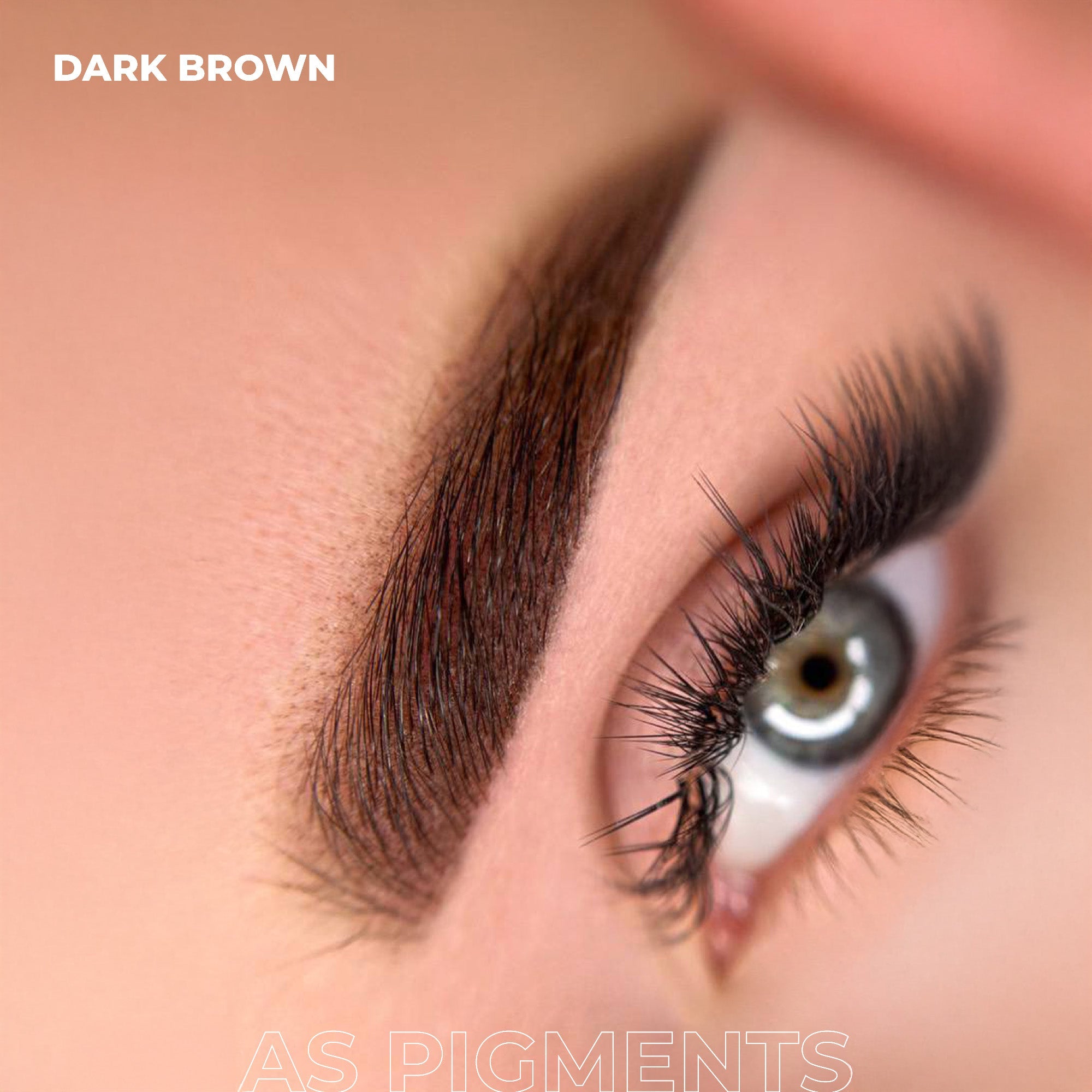 AS Pigments - Pigment pentru sprâncene DARK BROWN - mrpmu