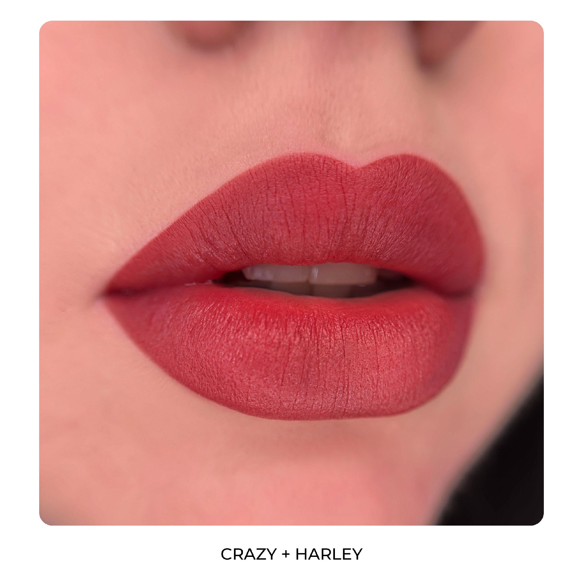 AS Pigments - HARLEY (HARLEY QUINN) 6 ml - mrpmu