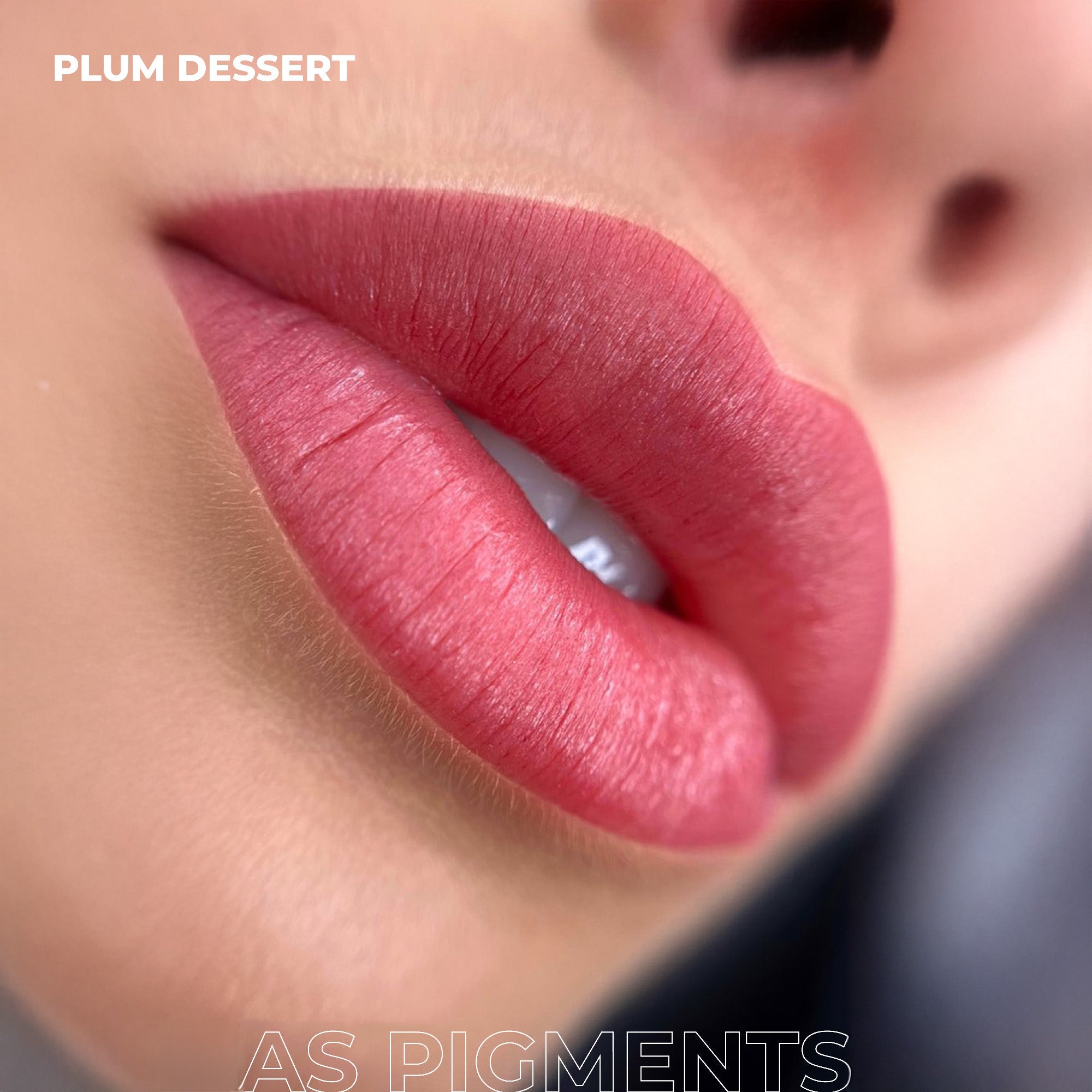 AS Pigments - Pigment de buze PLUM DESSERT - mrpmu