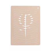PhiAcademy - Practising Latex Printed Shape and Outlines - 3pcs - Mr.PMU