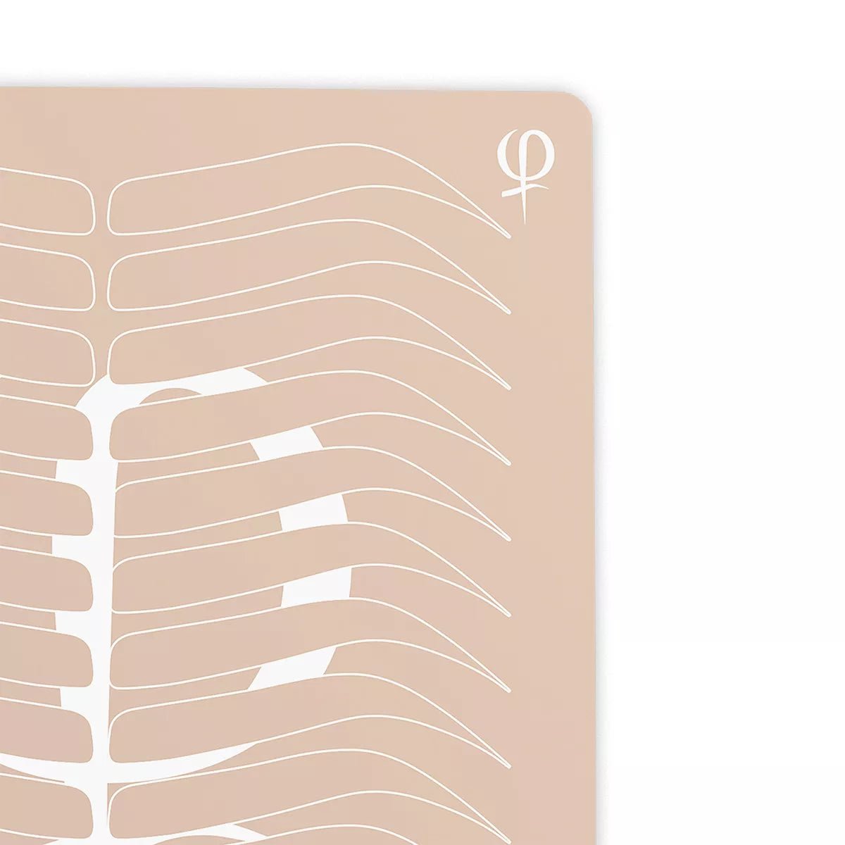 PhiAcademy - Practising Latex Printed Shape and Outlines - 3pcs - Mr.PMU